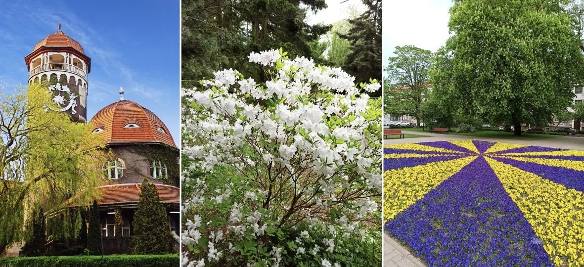 Калининград: Балтийский калейдоскоп (21-29 мая)