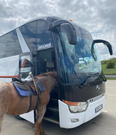 График всех туров